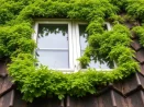 Démoussage toiture et et entretien des gouttières à Poissy