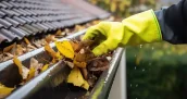 Démoussage toiture et et entretien des gouttières à Biziat