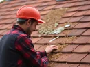 Démoussage toiture et et entretien des gouttières à Lisses